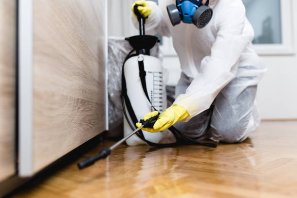 Best Wildlife Control Services  in Winfield, AL