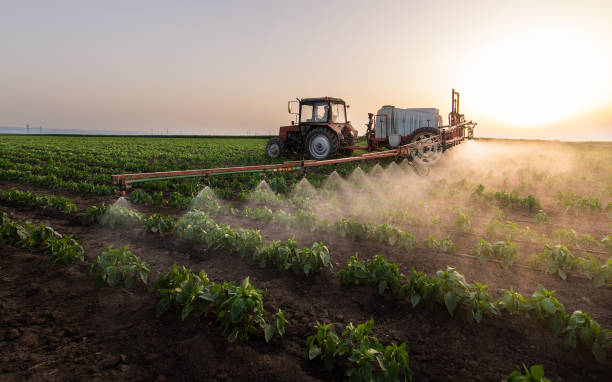 Best Commercial Pest Control Services  in Winfield, AL