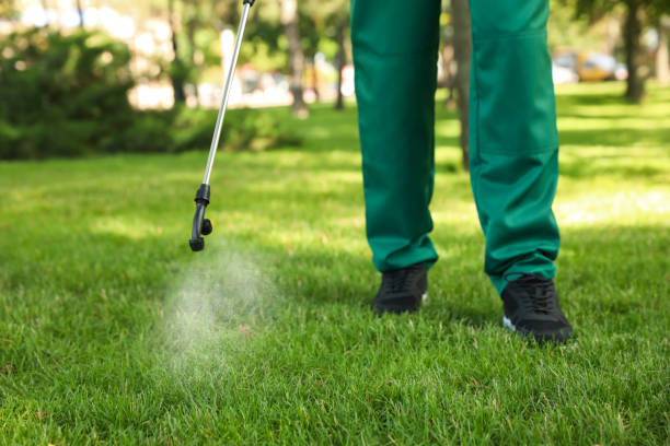 Best Best Pest Control Companies  in Winfield, AL