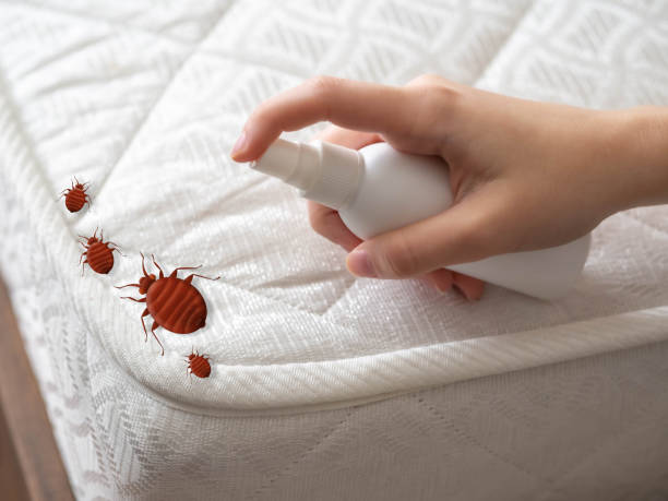 Best Mosquito Control Services  in Winfield, AL