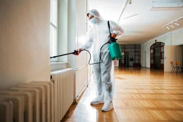 Best Flea Control Services  in Winfield, AL