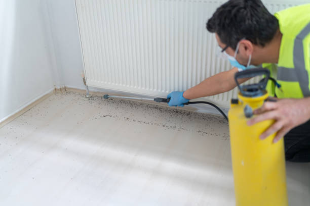 Best Affordable Pest Control Services  in Winfield, AL