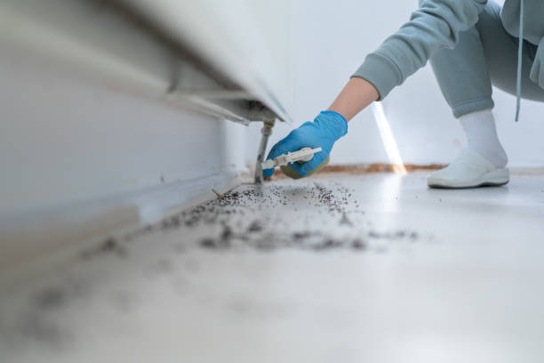 Flea Control Services in Winfield, AL